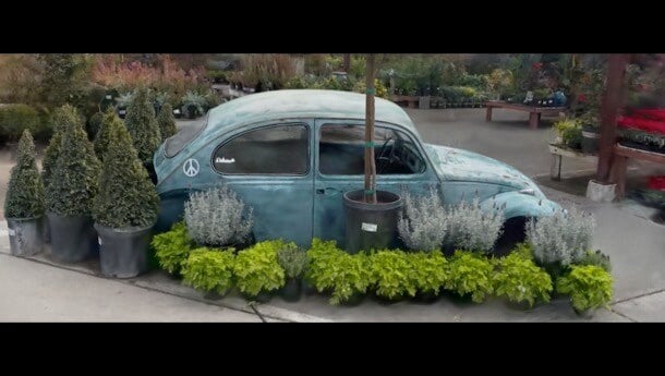 beetle