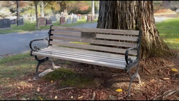 bench